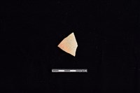 藏品(陶片)的圖片